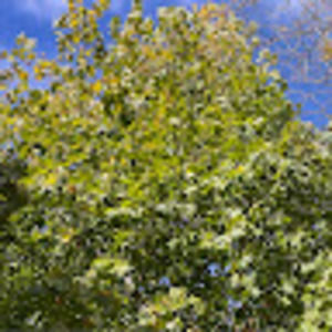 Meet your Posher, Claire